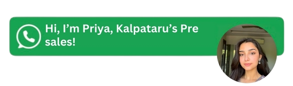 WhatsApp Contact